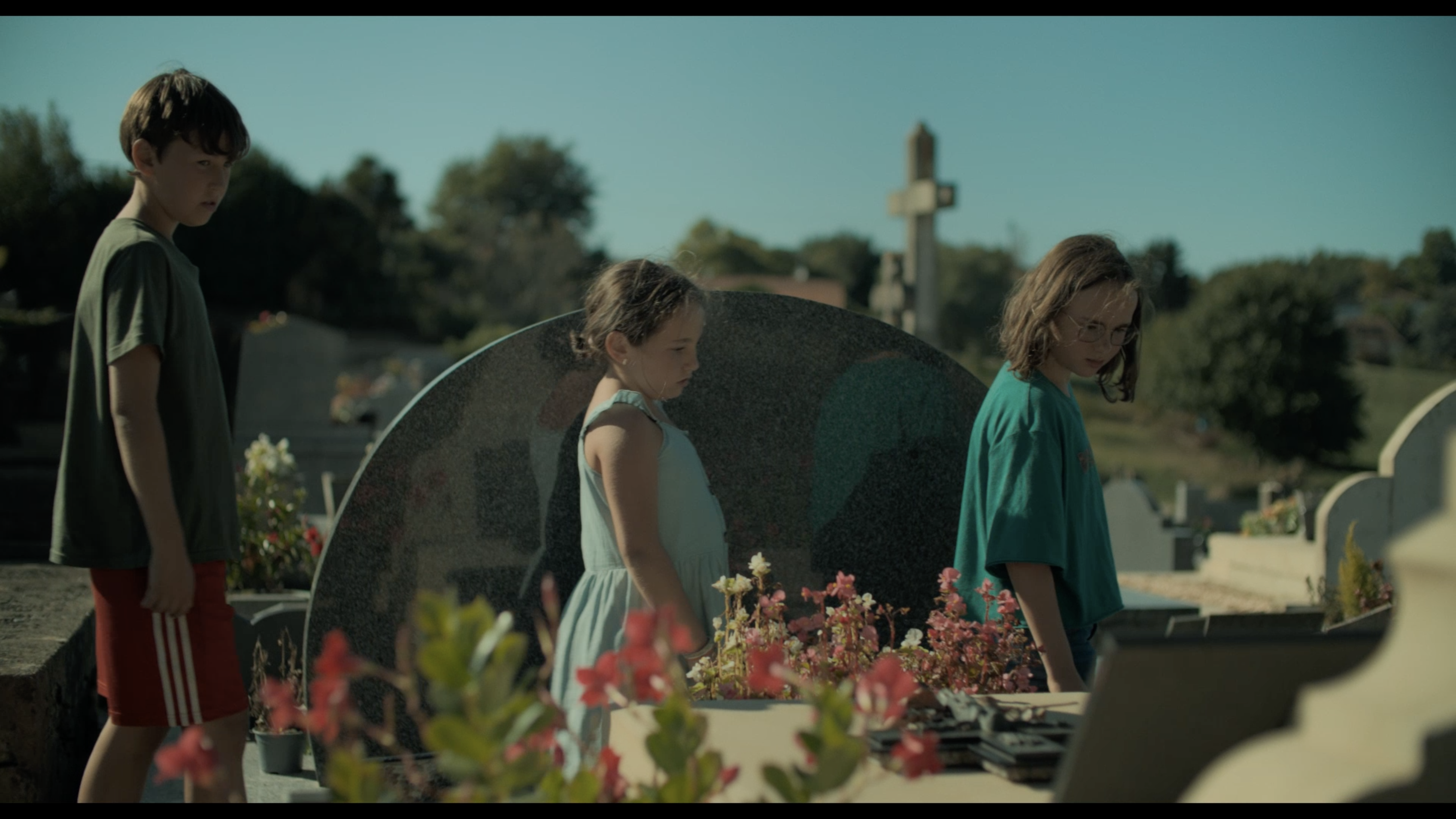 Brouillarta Still 01