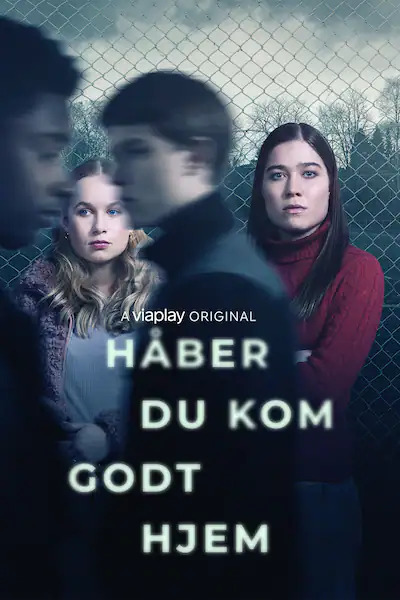 Håber du kom godt hjem 400x800